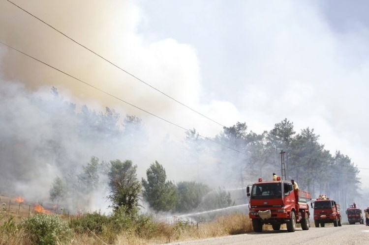 Dünyanın cesaret edemediğini Türkiye yaptı 53