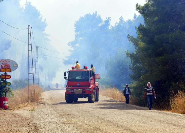 Dünyanın cesaret edemediğini Türkiye yaptı 55