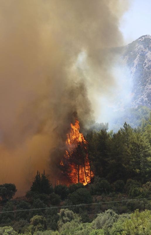 Dünyanın cesaret edemediğini Türkiye yaptı 56