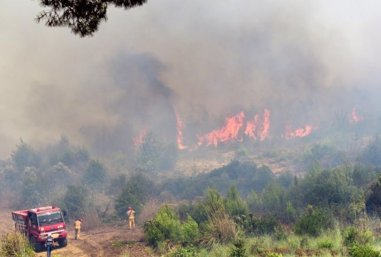 Dünyanın cesaret edemediğini Türkiye yaptı 57