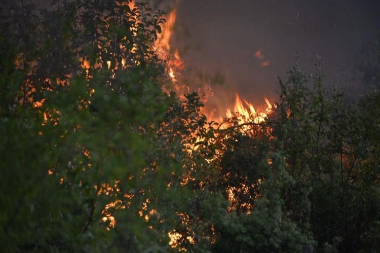 Dünyanın cesaret edemediğini Türkiye yaptı 59