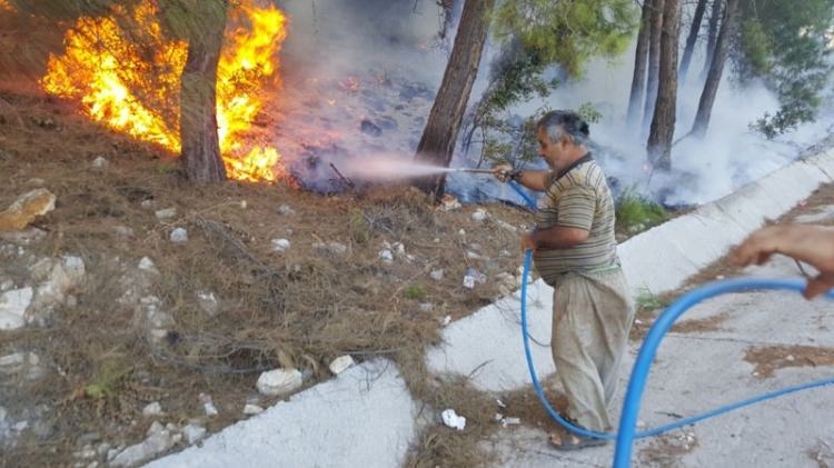 Dünyanın cesaret edemediğini Türkiye yaptı 62