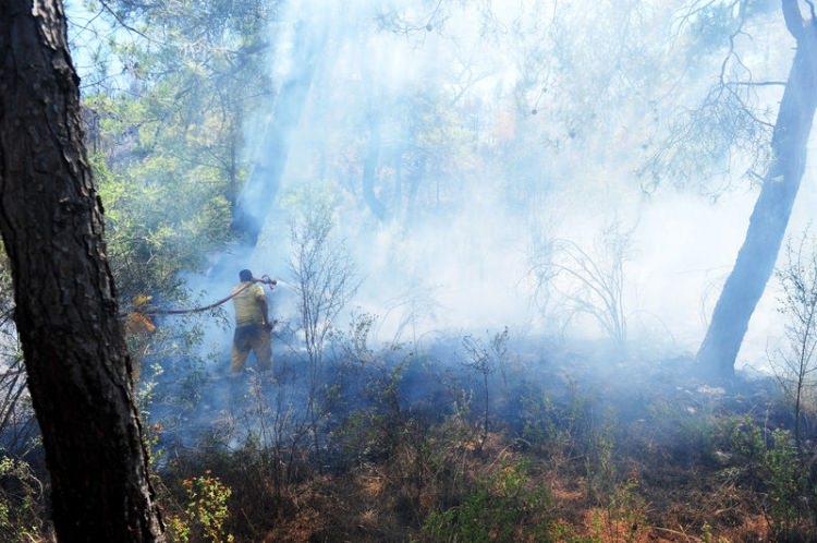 Dünyanın cesaret edemediğini Türkiye yaptı 66
