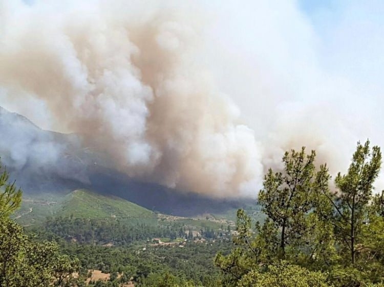 Dünyanın cesaret edemediğini Türkiye yaptı 67