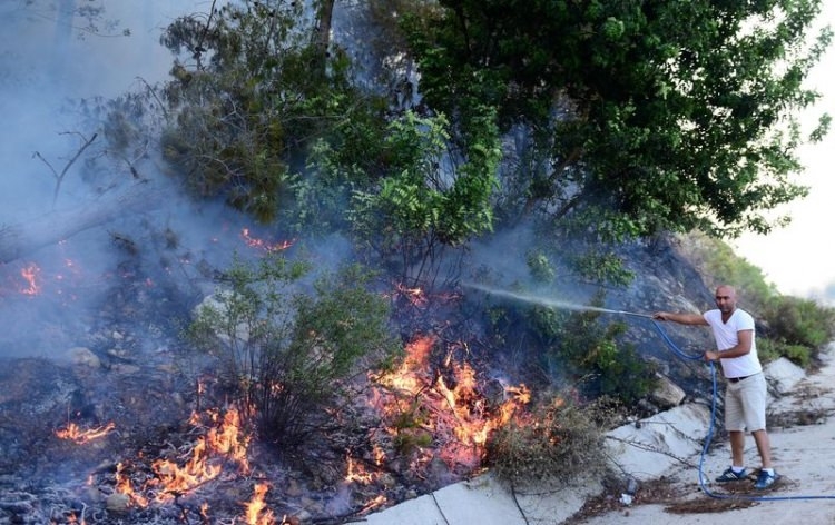 Dünyanın cesaret edemediğini Türkiye yaptı 68