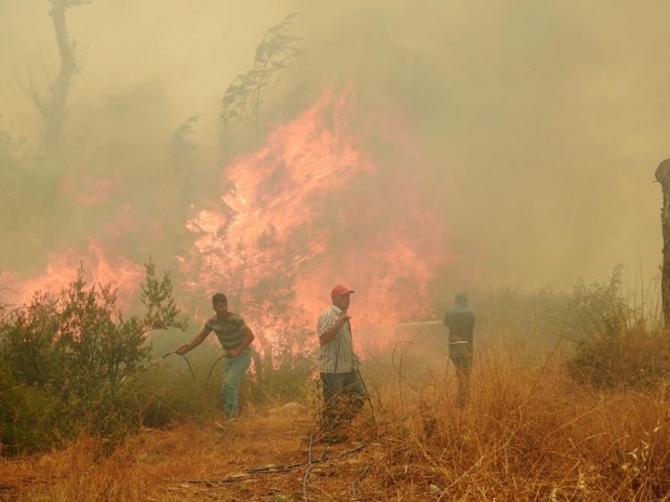 Dünyanın cesaret edemediğini Türkiye yaptı 69
