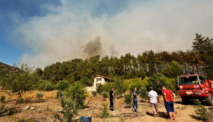 Dünyanın cesaret edemediğini Türkiye yaptı 70