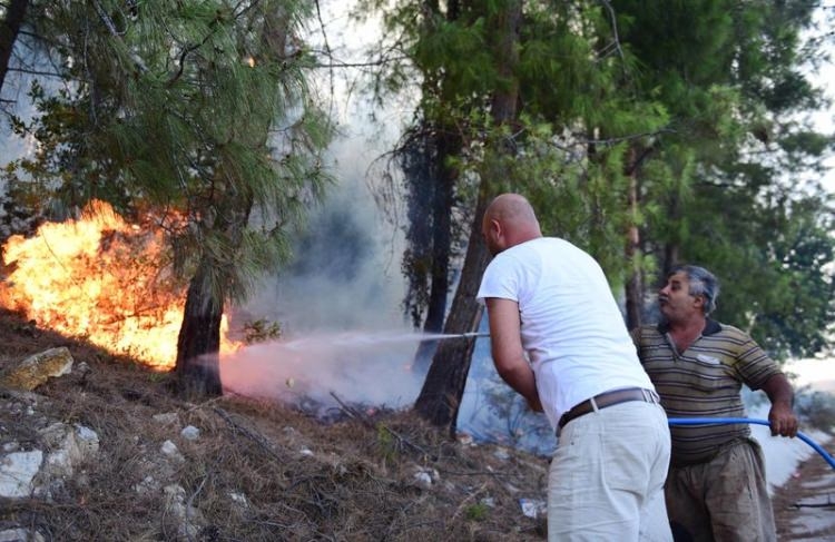 Dünyanın cesaret edemediğini Türkiye yaptı 73