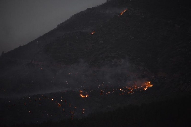 Dünyanın cesaret edemediğini Türkiye yaptı 74
