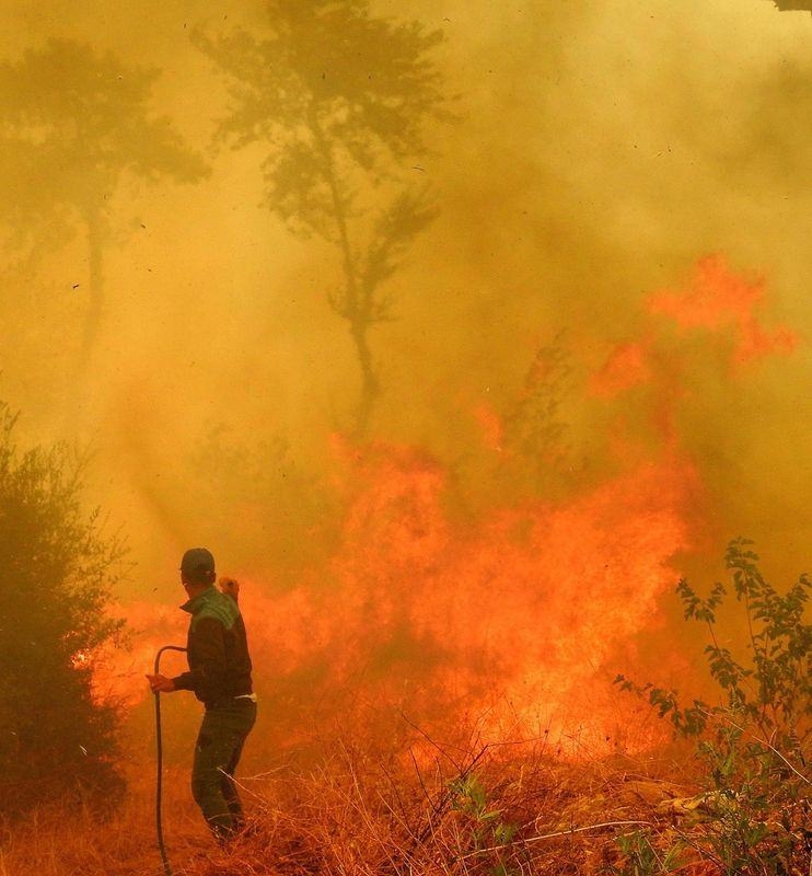 Dünyanın cesaret edemediğini Türkiye yaptı 75