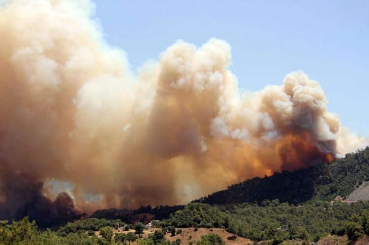 Dünyanın cesaret edemediğini Türkiye yaptı 79