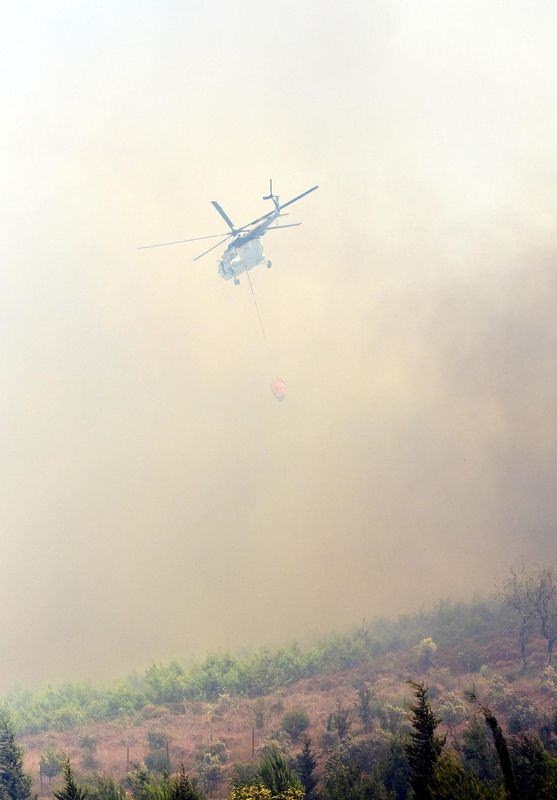 Dünyanın cesaret edemediğini Türkiye yaptı 80