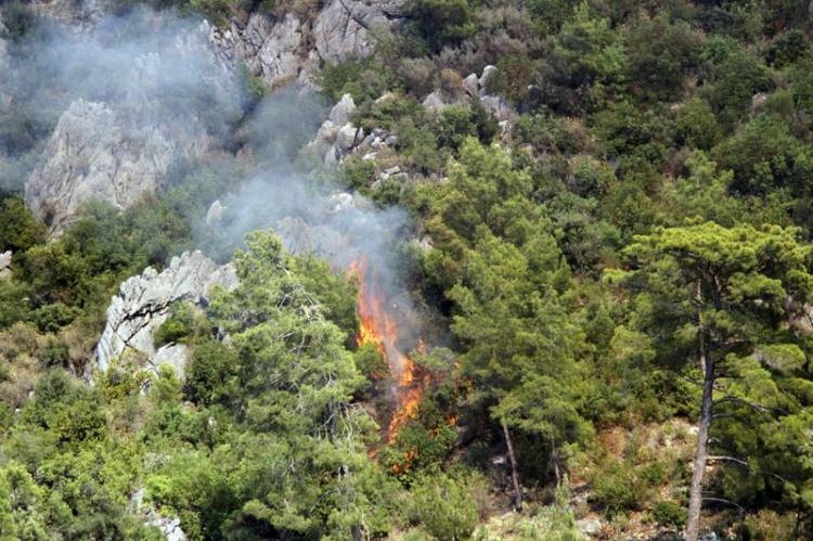 Dünyanın cesaret edemediğini Türkiye yaptı 83