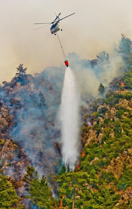 Dünyanın cesaret edemediğini Türkiye yaptı 84