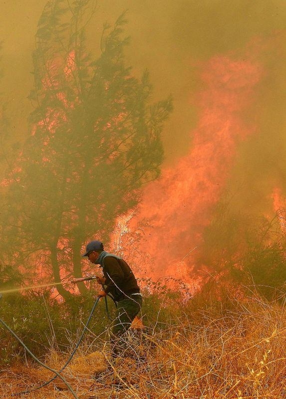 Dünyanın cesaret edemediğini Türkiye yaptı 85