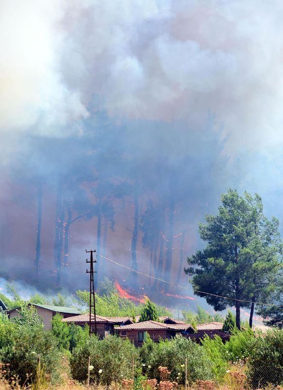 Dünyanın cesaret edemediğini Türkiye yaptı 86