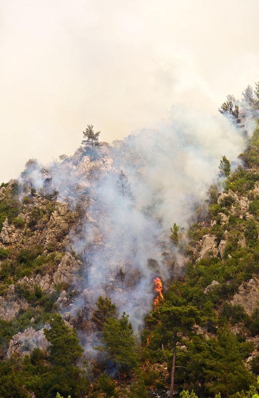 Dünyanın cesaret edemediğini Türkiye yaptı 91