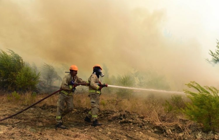 Dünyanın cesaret edemediğini Türkiye yaptı 92