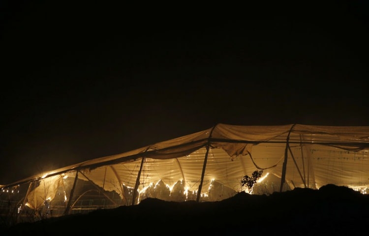 Dünyanın cesaret edemediğini Türkiye yaptı 95