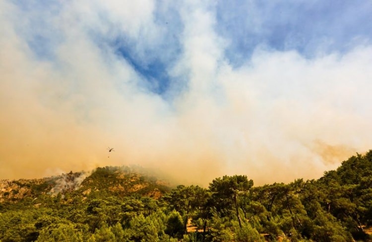 Dünyanın cesaret edemediğini Türkiye yaptı 96