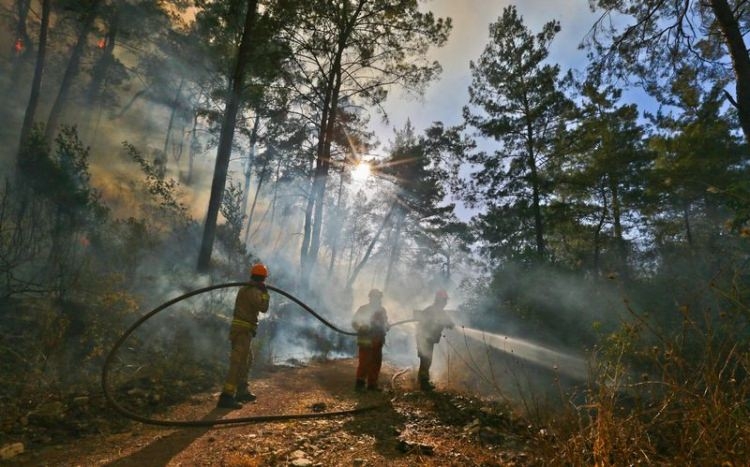 Dünyanın cesaret edemediğini Türkiye yaptı 97