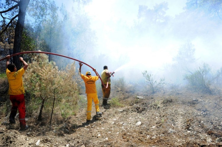Dünyanın cesaret edemediğini Türkiye yaptı 98