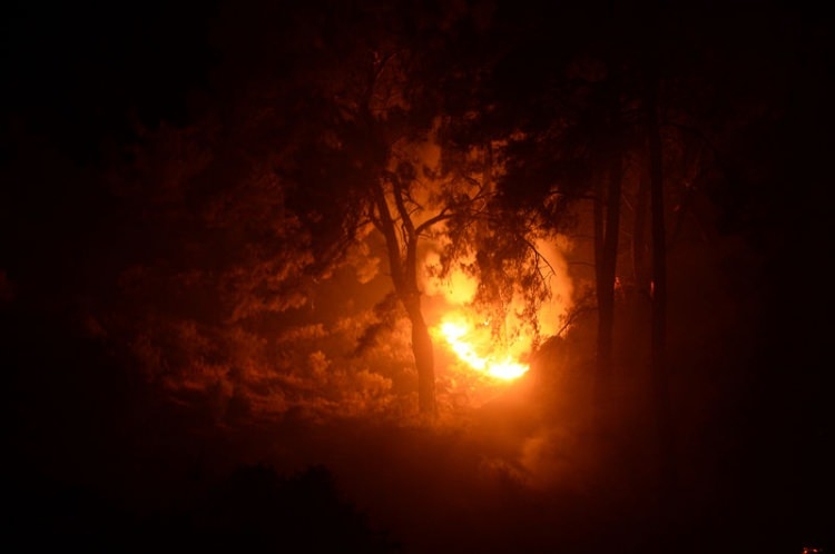 Dünyanın cesaret edemediğini Türkiye yaptı 99