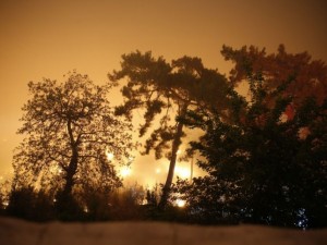 Dünyanın cesaret edemediğini Türkiye yaptı