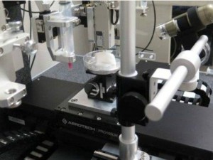 3 boyutlu yazıcıyla üretildiler