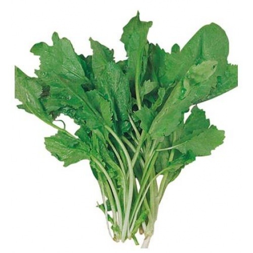 Eğer saçlarınız dökülüyorsa... 11