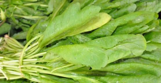 Eğer saçlarınız dökülüyorsa... 13