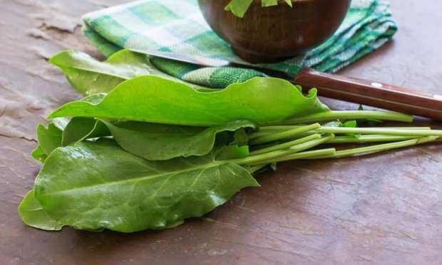 Eğer saçlarınız dökülüyorsa... 15