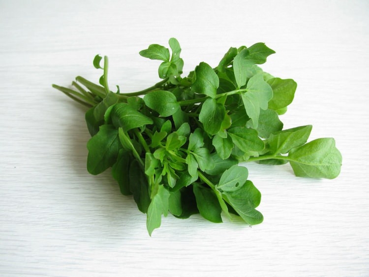 Eğer saçlarınız dökülüyorsa... 17