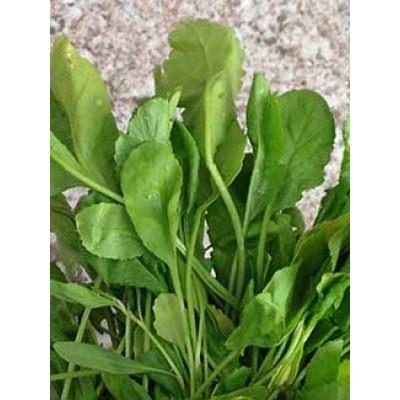 Eğer saçlarınız dökülüyorsa... 18