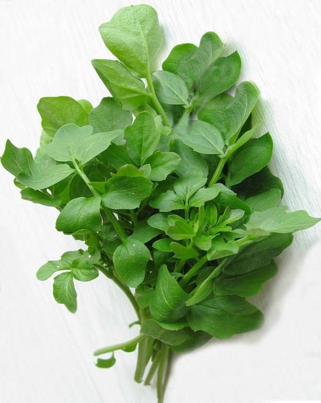 Eğer saçlarınız dökülüyorsa... 4