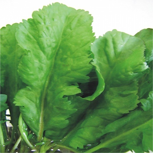 Eğer saçlarınız dökülüyorsa... 5