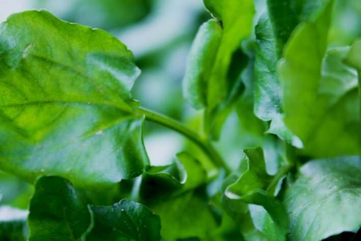 Eğer saçlarınız dökülüyorsa... 7