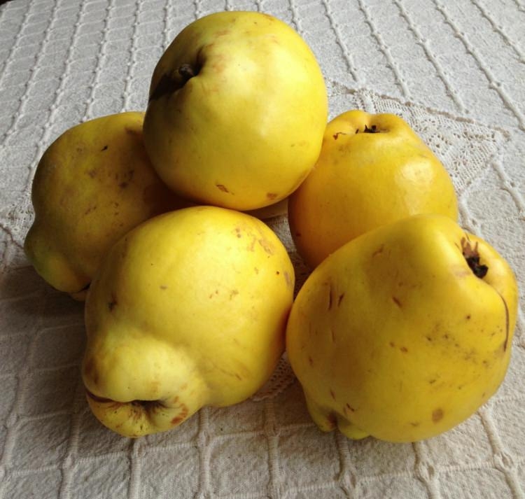 Peygamber Efendimizin en sevdiği içecek... 49