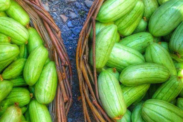 Peygamber Efendimizin en sevdiği içecek... 52