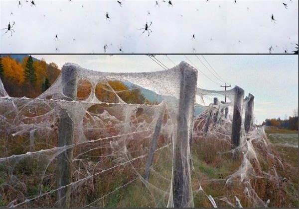 Başka yerde göremessiniz 11