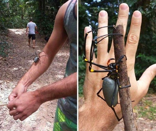 Başka yerde göremessiniz 12