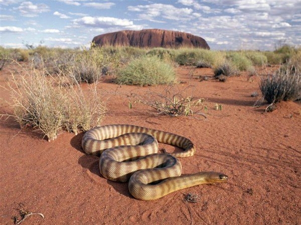Başka yerde göremessiniz 14