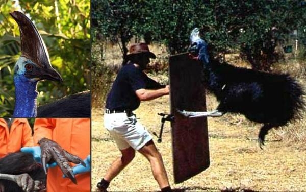 Başka yerde göremessiniz 16