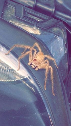 Başka yerde göremessiniz 23