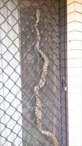 Başka yerde göremessiniz 24