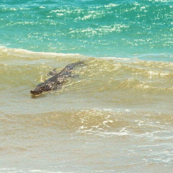 Başka yerde göremessiniz 34