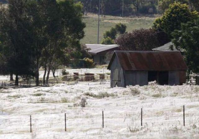 Başka yerde göremessiniz 38