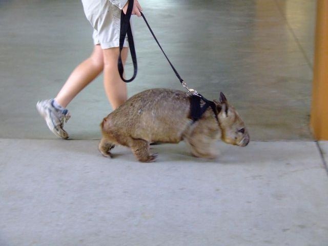 Başka yerde göremessiniz 43