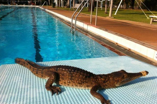 Başka yerde göremessiniz 47