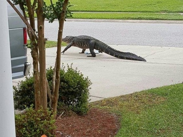 Başka yerde göremessiniz 8